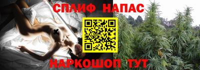 таблы Гай