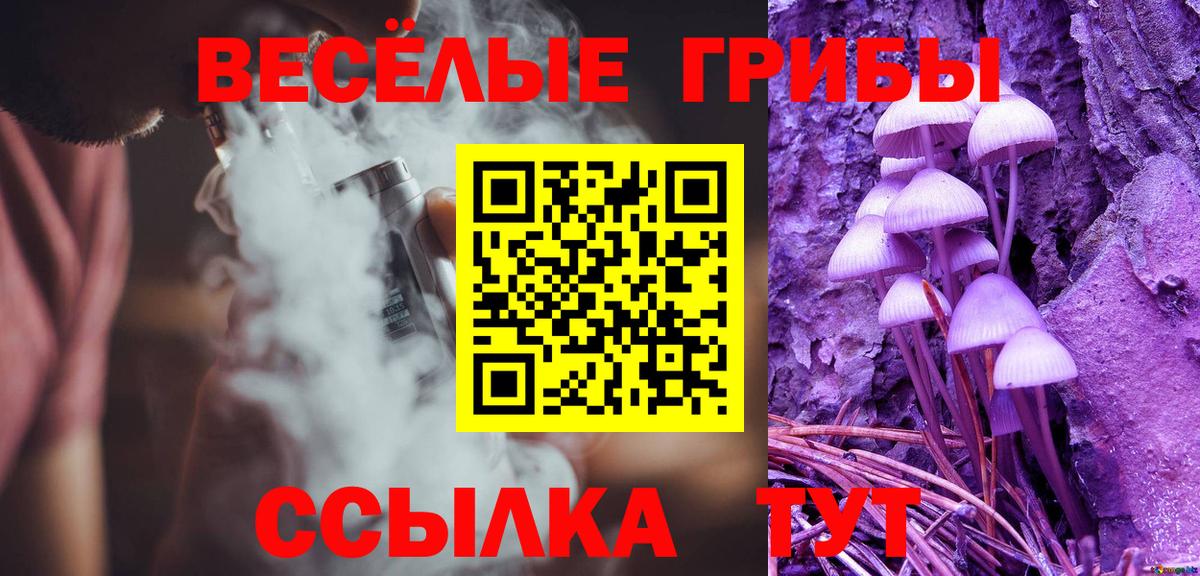 что такое наркотик  Псилоцибиновые грибы мицелий  Алапаевск  Вход с VPN  Псилоцибиновые грибы Magic Shrooms 